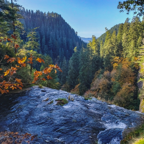 Meet your Posher, Melissa - Picture 5 of 6